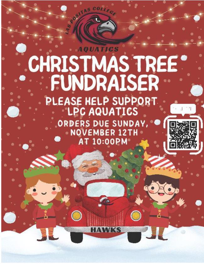flyer link