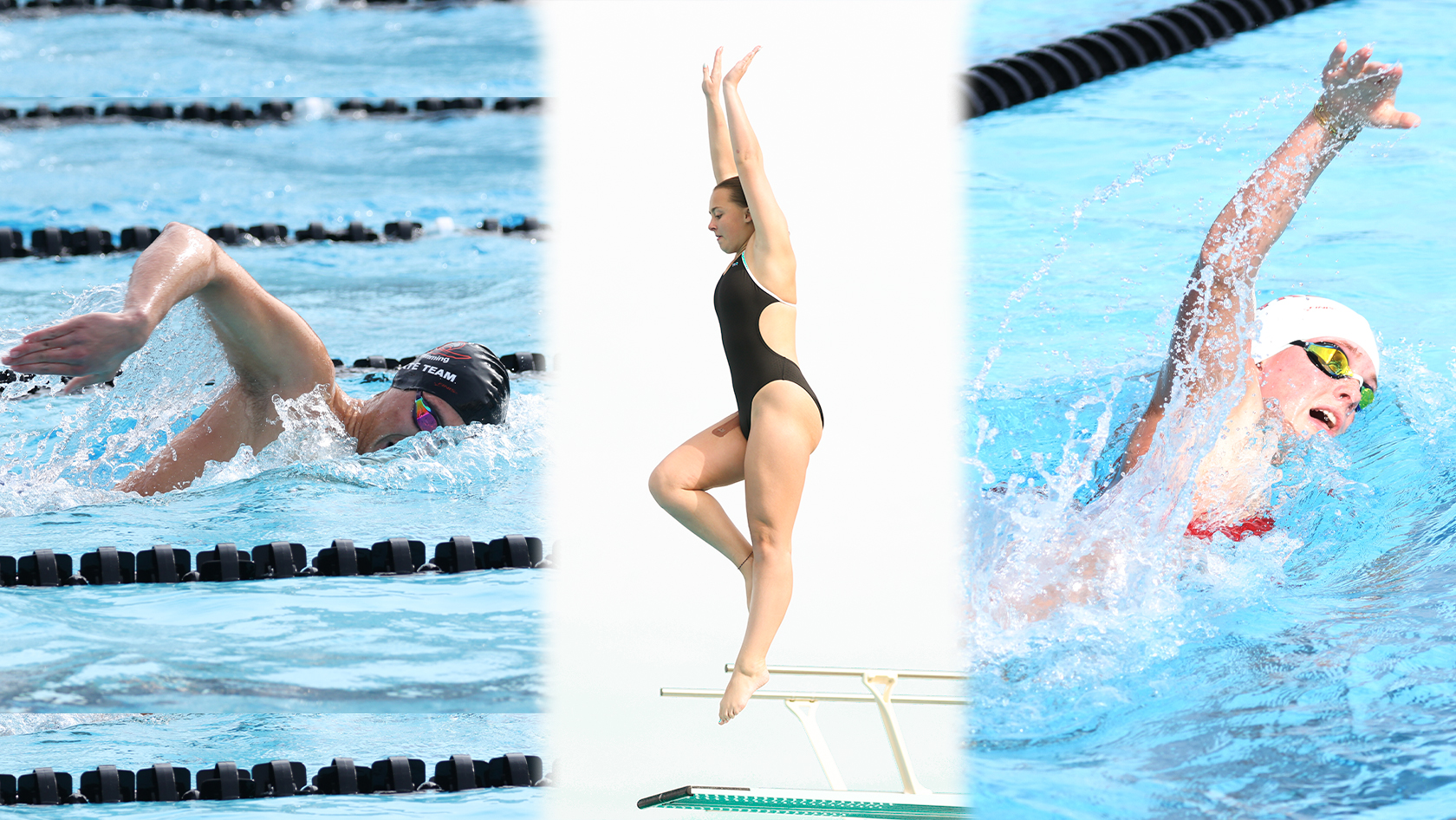 Borrelli and Houborg swim while Stifter dives